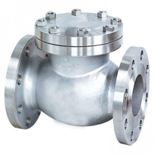 Stainless Steel Non Return Check Valve